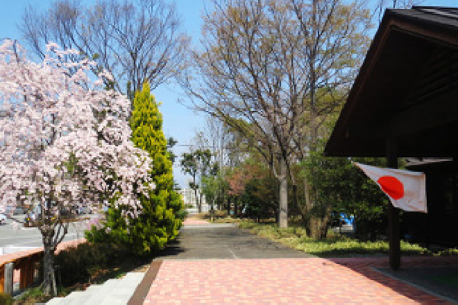 山梨県森林公園　金川の森