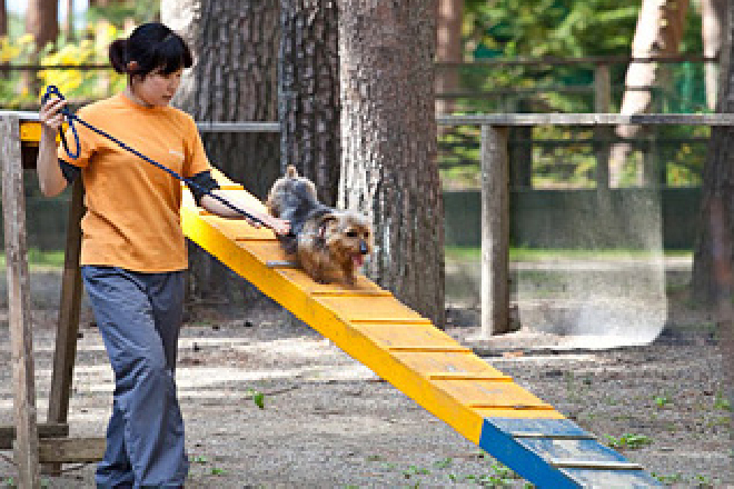富士すばるランド　ドギーパーク