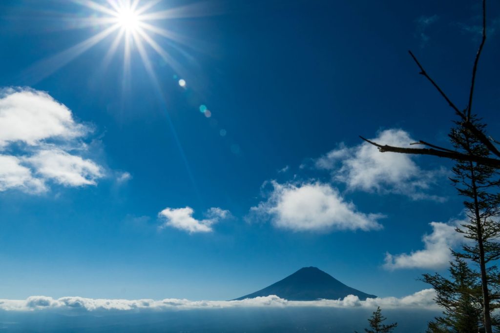 2024年最新！FUJIYAMAツインテラスの新施設2024/4/25オープン【Lily Bell Hütte（リリーベルヒュッテ）】ご紹介 