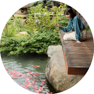 Feeding the Koi